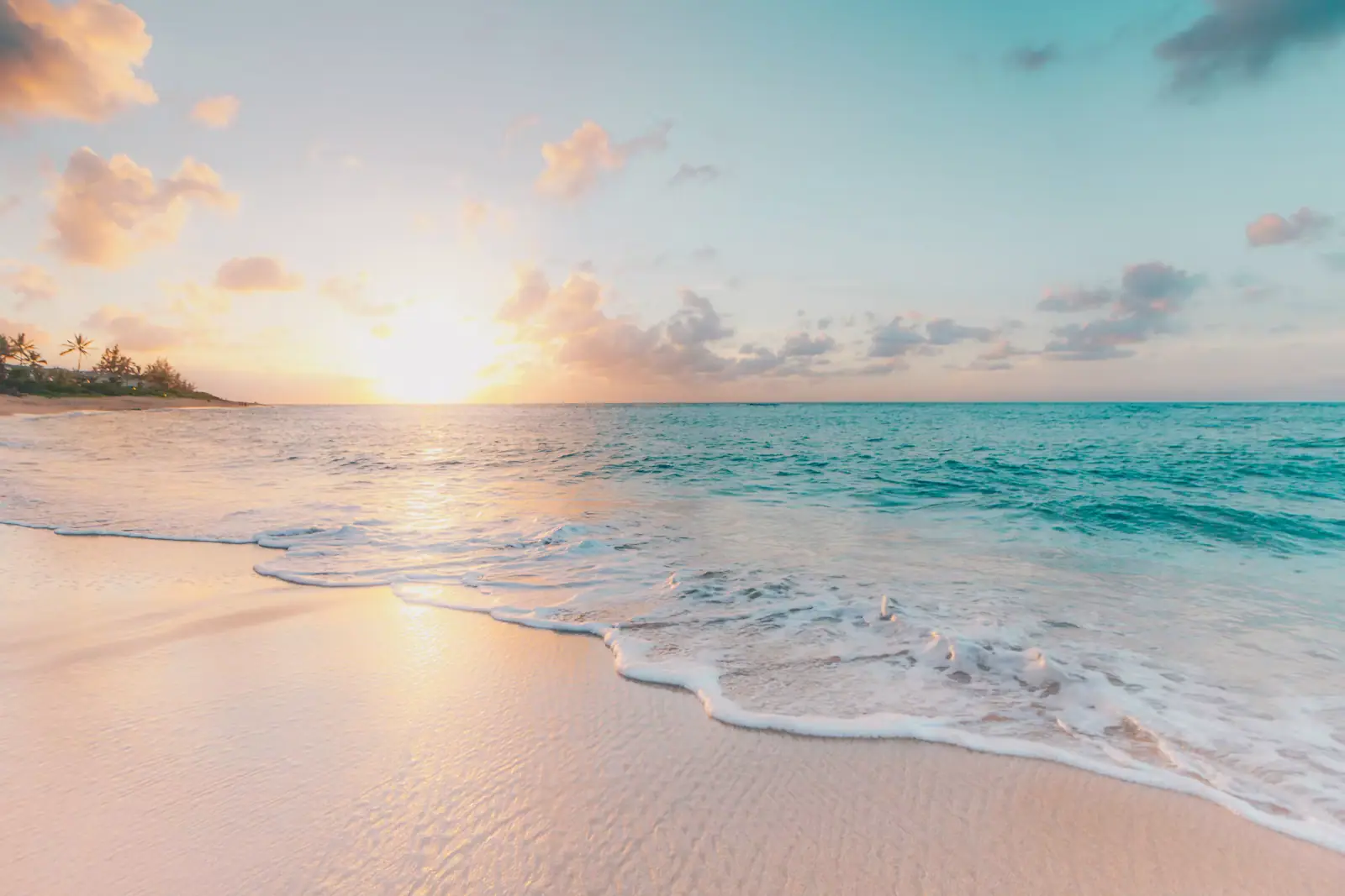 Loungers and palm shade on a calm turquoise Caribbean beach on the sheltered leeward coast