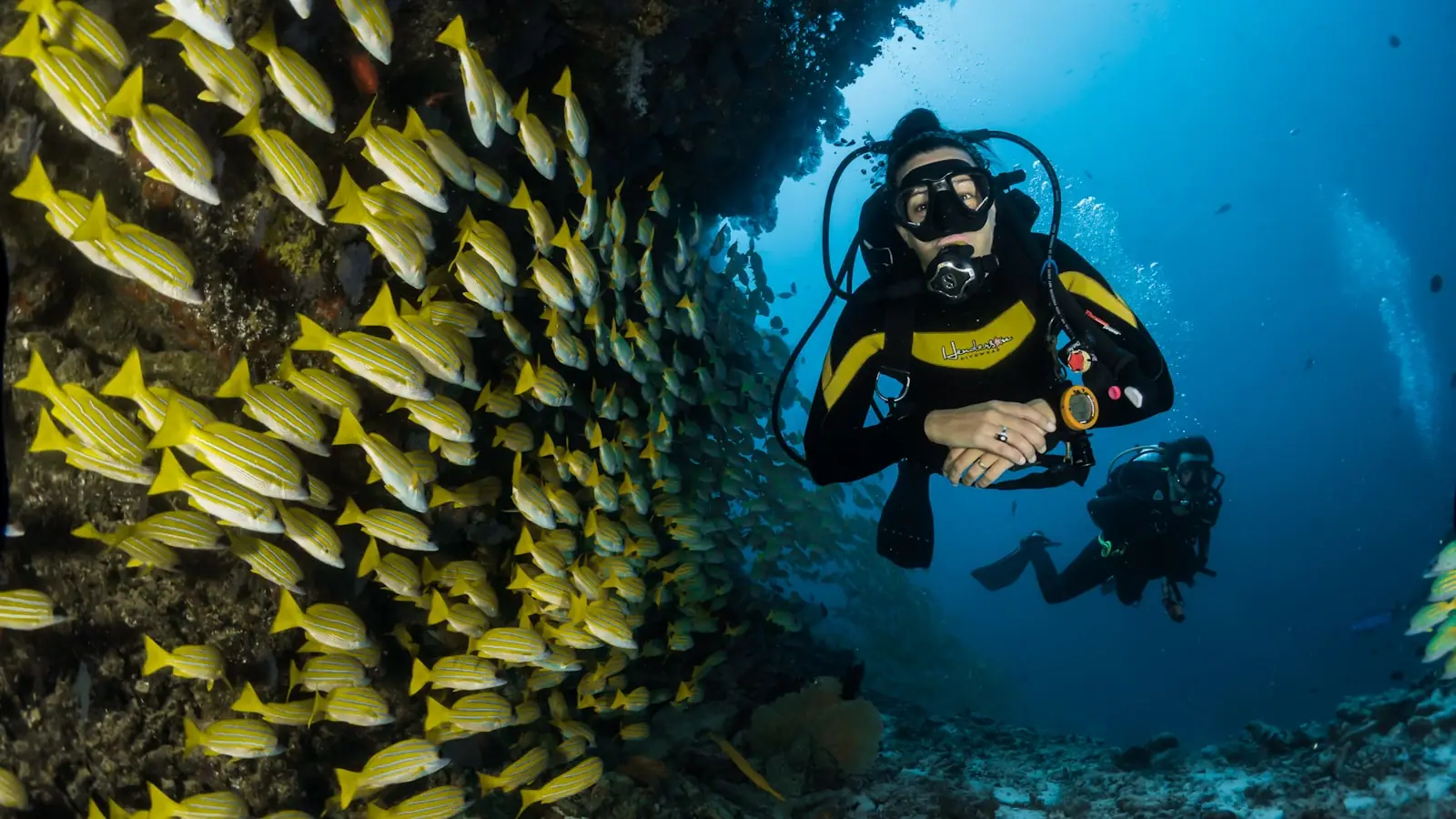 A diver drifting along a coral wall in clear blue water with sponges and sea fans on the reef face